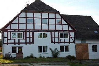 Unter'm Maronenbaum
