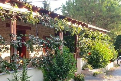Bungalow Hotel Neos Matala