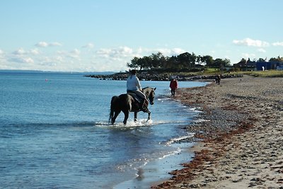 Appartamento di vacanza Swantje