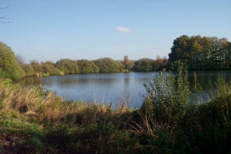 Własne jezioro naturalne w odległości 4 km.