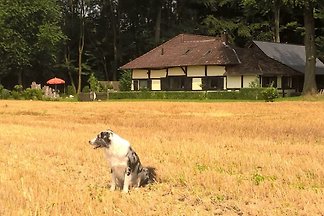 Ferienhaus Heuerhaus Gut Einhaus