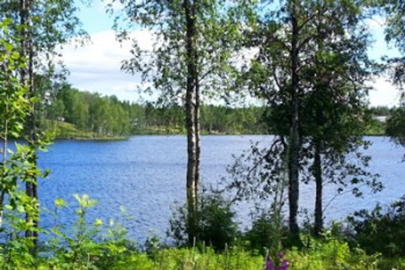 El romántico lago de Abborrträsk justo al lado de la casa: oportunidad para pescar y bañarse.