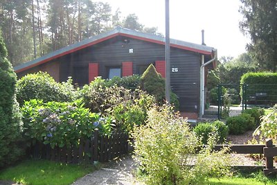 Heideblockhaus Peterle