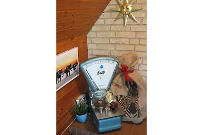 Heidehaus Eichhörnchen