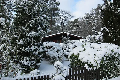 Heideblockhaus Dachsbau