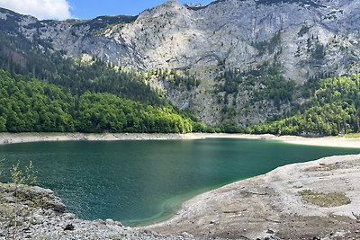 Ferienhaus Dachstein Hütten 28