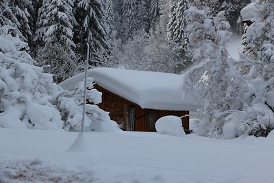 Ferienhaus direkt an der Skipiste