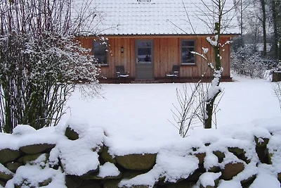 Ferienhaus Hof Prümm