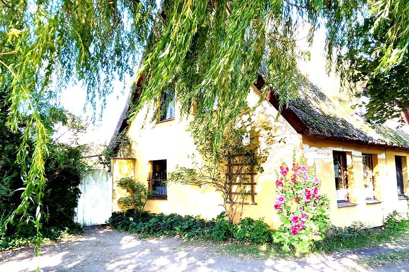 Reetdach-Ferienhaus auf Usedom für 6 Personen mit Garten, Cottage über zwei Etagen