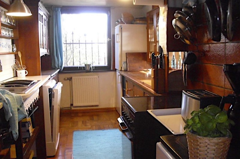 EG, view into the fully equipped kitchen.