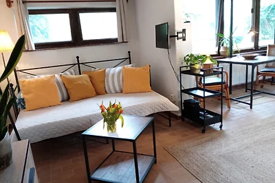 Loft-Studio FeWo, Garten u. Kamin