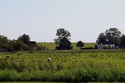 Haus Deichblick