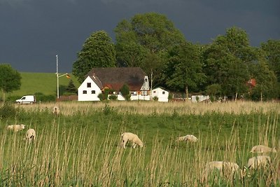 Haus Deichblick