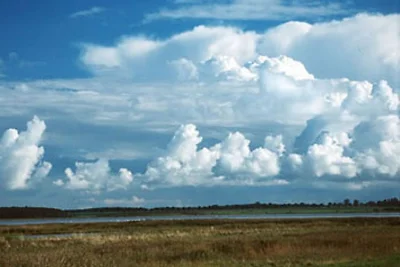 Landhaus am Bodden:   malu-benk.de
