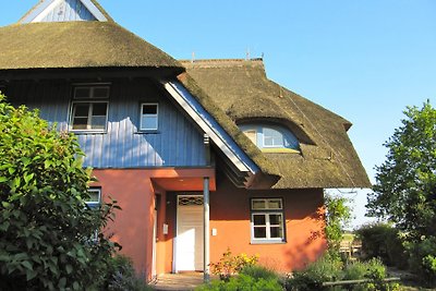 Landhaus am Bodden:   malu-benk.de