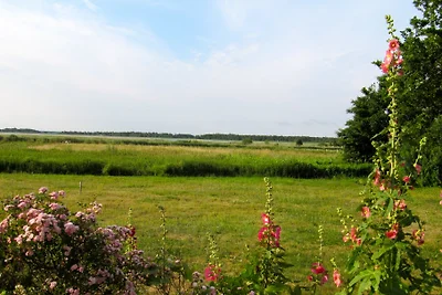 Landhaus am Bodden:   malu-benk.de