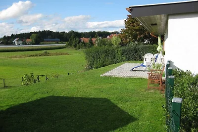 Ferienhaus Pusteblume