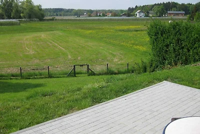 Ferienhaus Pusteblume