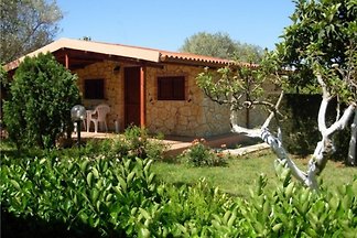 Holiday House