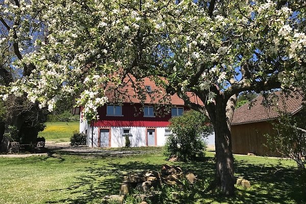 Ferienhaus Alpirsbach