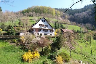 Ferienhaus Bad Peterstal-Griesbach