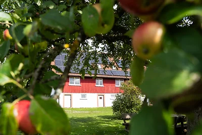 casa vacanza 5 stelle Brestenberg