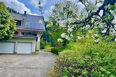 Ferienhaus Hof Busems