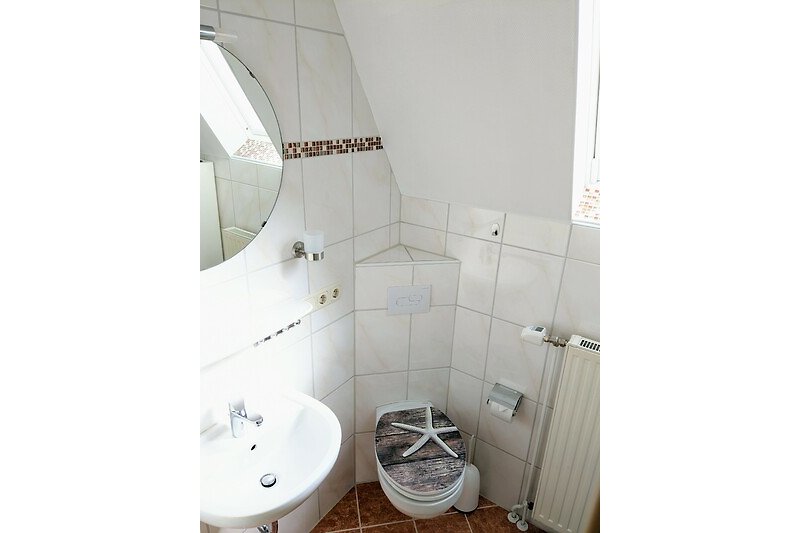 Tageslicht Badezimmer mit Spiegel, Waschbecken, Dusche und Toilette.