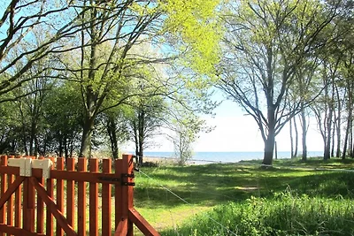 Das Haus am Strand Hunde Willkommen