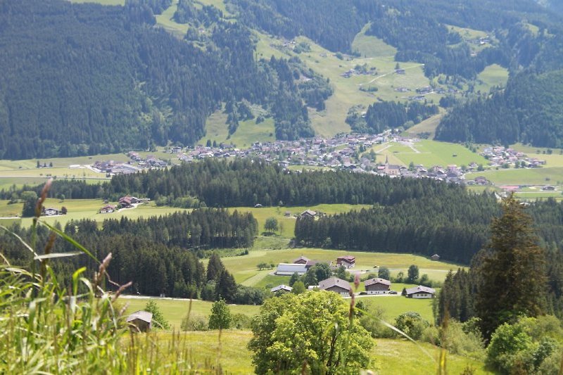 Blick auf Hollersbach 
