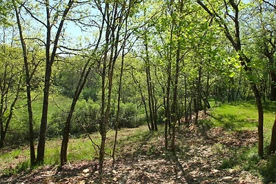 Villa Laviste: piscina e giardino recintati