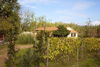Casa Isa