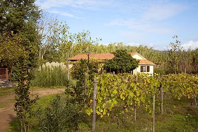 Casa Isa
