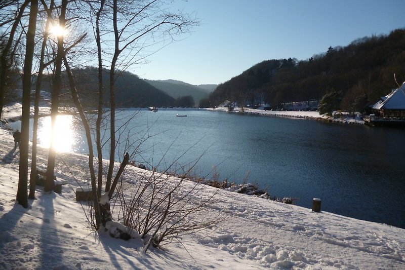 Winter am Waldsee