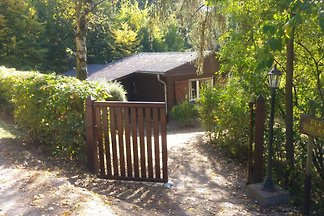 Ferienhaus zum Katzenbaum