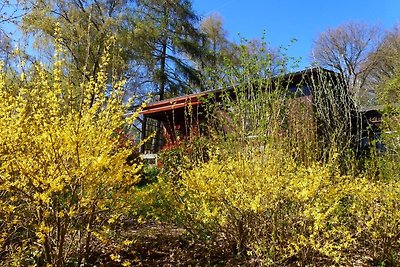 Vakantiehuis aan de kattenboom