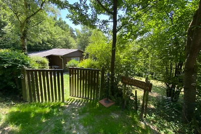 La casa delle vacanze all'albero dei gatti