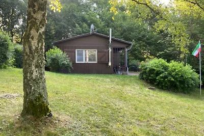 La casa delle vacanze all'albero dei gatti