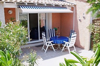 Mimosa, Languedoc-Rousillon,