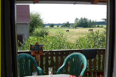 fw-haus-waldblick.de