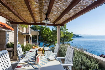 Apartments Bili Osibova Milna