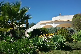 Bungalov Belomonte