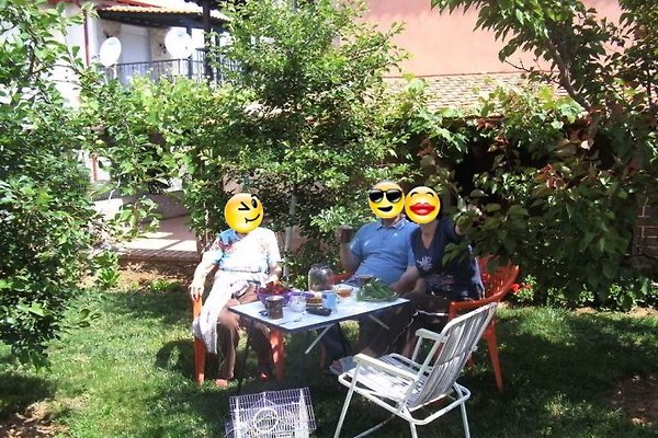 Sig. S. Georgiadis Sig. S. Georgiadis