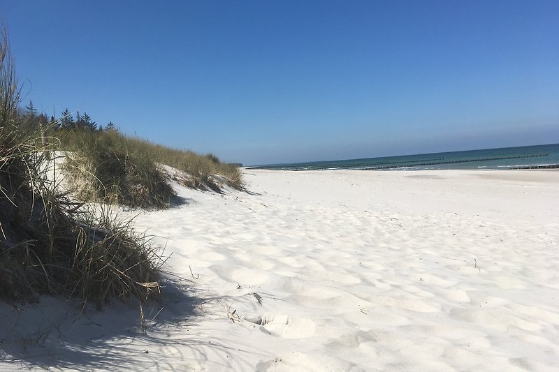Traumstrand in Zingst
