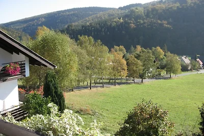 Ferienhaus Birkenhof/Eisenberg