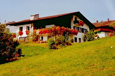 Ferienwohnung in Taching/See