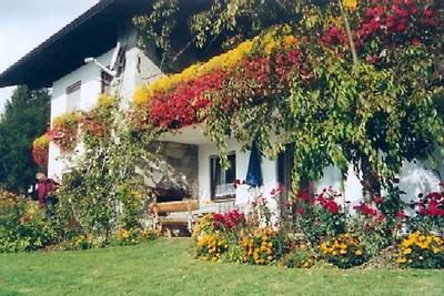 Ferienwohnung in Taching/See