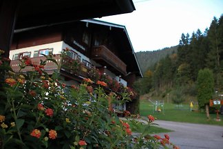 Ferienwohung Meislerlehen 2