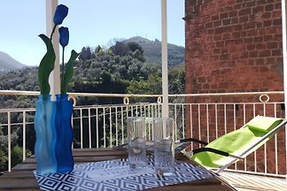 Iris House - Terrasse - Wlan