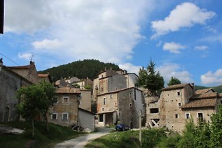 Cervo - Nationalpark Abruzzen